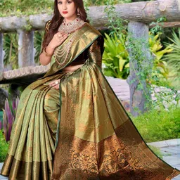 jayant creation Green Art Silk Barasi Sarees-picture-3