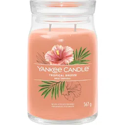 YANKEE CANDLE Orange 1 pieces Jar Candle-99