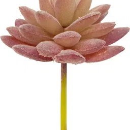 garden deco Fake Succulent Plant (Pink) (1 PC) Artificial Plant-picture-5