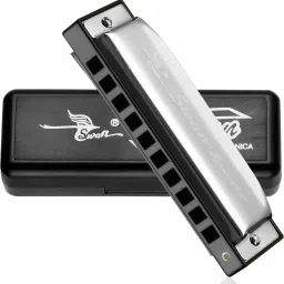 10 Hole Key Of C Blues Power Harmonica Mouth Organ-15