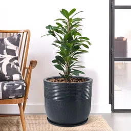 RUBOXA 2Pcs Black UV ProtectedPlanters-image-44
