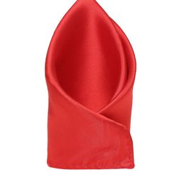 Alvaro Castagnino Men Red Silk Pocket Square-image-80