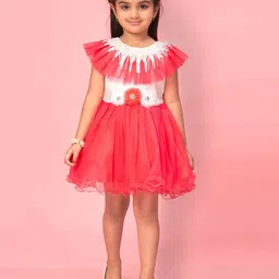 BAESD Flutter Sleeve Net Fit & Flare Dress image 1