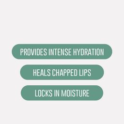NATURE4NATURE Orange & Bacuri Butter Moisturizing Lip Balm - 5 g image 3