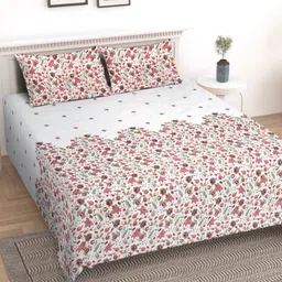 Aura Off White & Red Floral Printed 200 TC King Bedsheet Set 2.28 m x 2.54 m-image-57