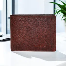 OLIVE MIST Men Textured Leather Two Fold Wallet-15