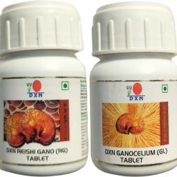 RG REISHI GANO and GL GANOCELIUM - 120 tablets-image-25