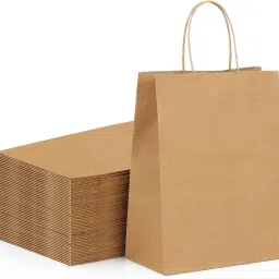 100GSM Paper Bags with Handle | Eco-Friendly Disposable Bags (10X3.5X10) Pack of 25 Grocery Bags-33