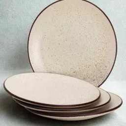 freakway (Set of 4) Sandstone Speckle 10.6 Inch Dinner Plate (White)-picture-29