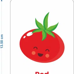 spartan kids Flash card For Kids Early Learning Easy & Fun way of Learning(set of 5) image 5