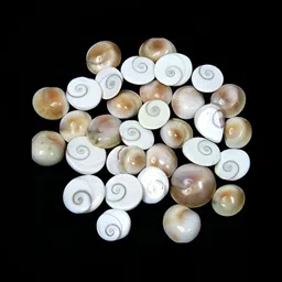 Navyaksh White & Beige Metal Gomti Chakraa Decorative Showpiece-11