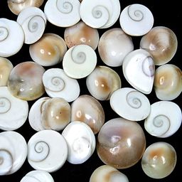 Navyaksh White Chakra Curio Showpiece-picture-8