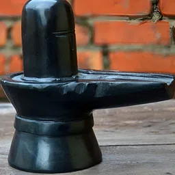 Navyaksh Black Religious Small Shivling Showpiece-79