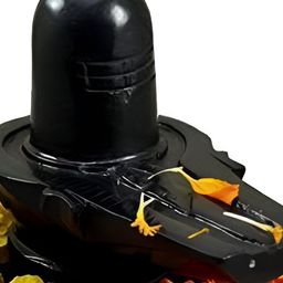 Navyaksh Black Showpiece-image-50
