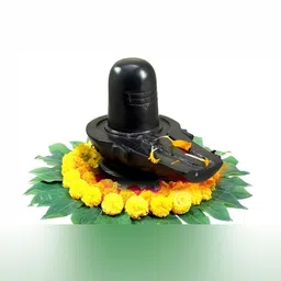 Navyaksh Black Religious Small Shivling Showpiece-41