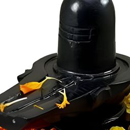 Navyaksh Black Showpiece-image-43