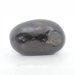 Navyaksh Black Showpiece-image-29