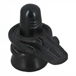 Navyaksh Black Showpiece-picture-25