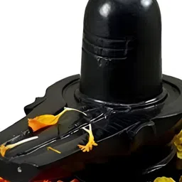 Navyaksh Black Stone Shiv Ling Showpiece-29