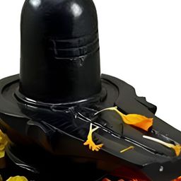 Navyaksh Black Showpiece-image-15