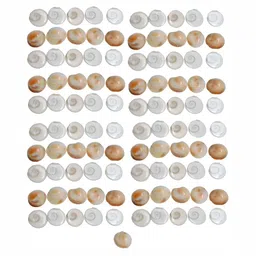 Navyaksh Brown White 101 Pieces Gomti Chakra Showpiece-image-65
