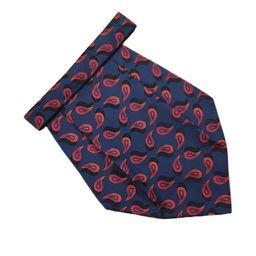 Paisley Design Cravats-image-74