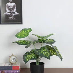 ARICK DECOR Green 1 Pieces Diffenbachia Artificial Plant With Pot-image-48