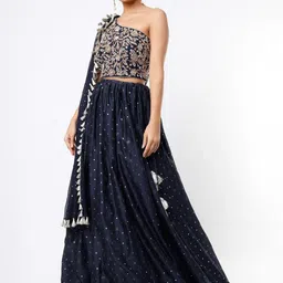 Payal Singhal Embroidered Sequinned Ready to Wear Lehenga & Blouse With Dupatta-image-67