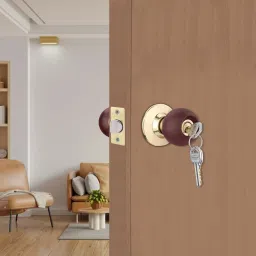 Stainless Steel Glossy Door knobs-image-16
