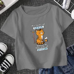 FIONAA TRENDZ Kids-Unisex Grey Cotton Tshirts-picture-45