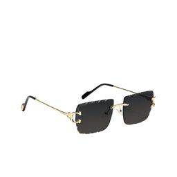 ZAADRAN Unisex Rectangle Sunglasses with Polarised and UV Protected Lens image 5
