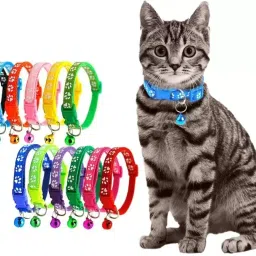 Cat Collar Belt WIth Bell Printed Nylon Cat , Puppy and rabbit Collar Charm Bell Dog & Cat Collar Charm-picture-3