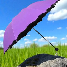 Travel Compact Magic Umbrella 3 Fold Umbrella for Girls, Women_8785 Umbrella-image-7