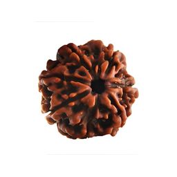 SANKALAN CREATIONS Brown Curio Showpiece-image-74