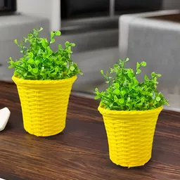 Akaar Yellow 2 Pieces Jade Artificial Plant With Pot-picture-8