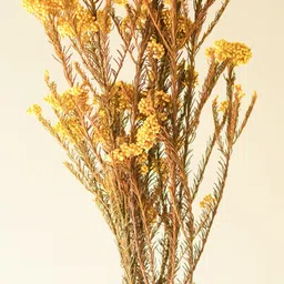 ArteCasa Yellow & Brown Rice Artificial Flower-image-92
