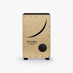 roland EC-10 Electronic/Acoustic Hybrid Cajon Cajons-picture-0