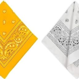 TKSA STYLE Handkerchief for Women Men White Yellow ["White","Yellow"] Handkerchief-image-1