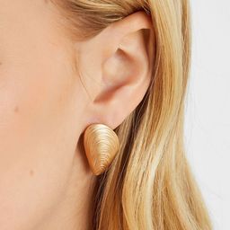Accessorize Gold Brushed Seashell Shaped Studs-image-88