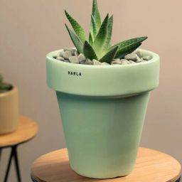 harla arts Dream Set Of 2 Green Porcelain Floor Planters-picture-43