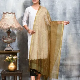 swatika Woven Design Striped Dupatta-picture-53