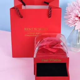 Ascension Red & Transparent Preserved Rose Flower Gift Box-40