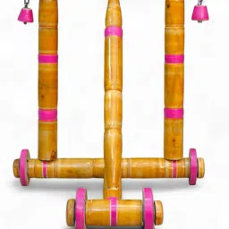 2-in-1 Walker-image-70