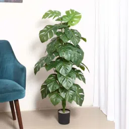 arick decor Artificial Monstera Plant with Pot-picture-20