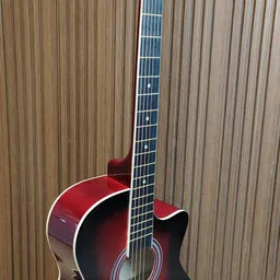 passion PA-38 RD Acoustic Guitar Agathis Rosewood Right Hand Orientation-picture-2