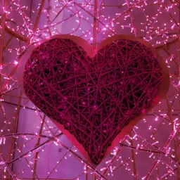 pesca 40 LEDs 11 m Pink Steady String Rice Lights image 4