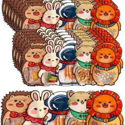 Printed Party Bag-8