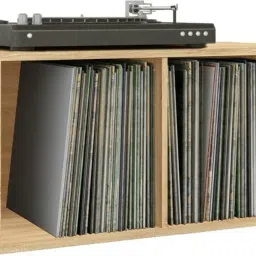 unishop Engineered Wood Open Book Shelf image 5
