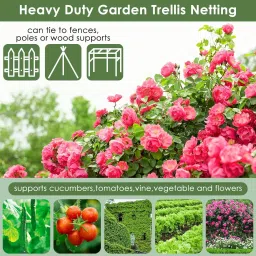 grinny Plant Climbing Net & 14.8Ft x 6Ft Creeper Support Gardening Netting Green Colour Garden Tool Kit image 5