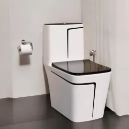 C/T01 Premium Quality White commode with Black Finishing Line and Round Flush Button Western Commode-picture-16
